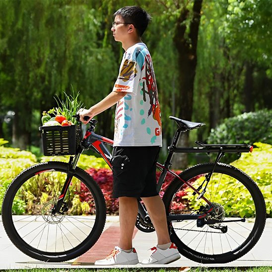 panier pour vélo avec adolescent
