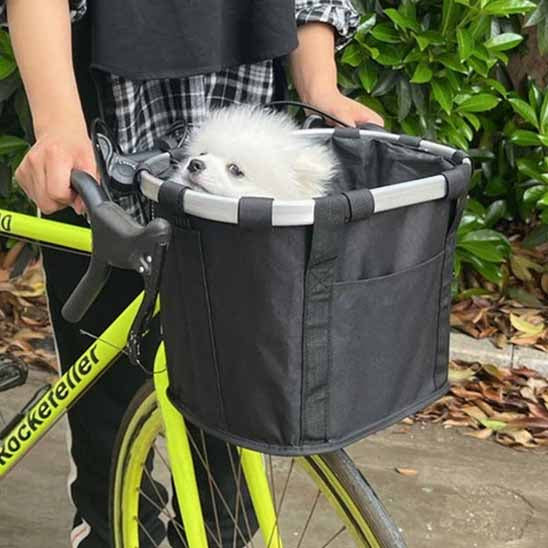 panier vélo avec chien blanc