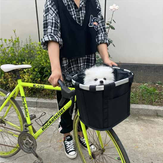 panier vélo avec chien vu sur vélo