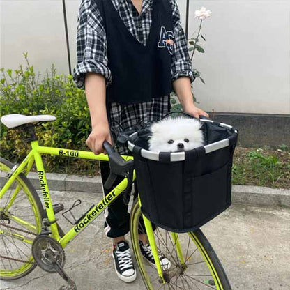 panier vélo avec chien vu sur vélo